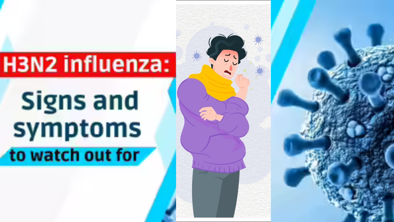 h3n2 flu